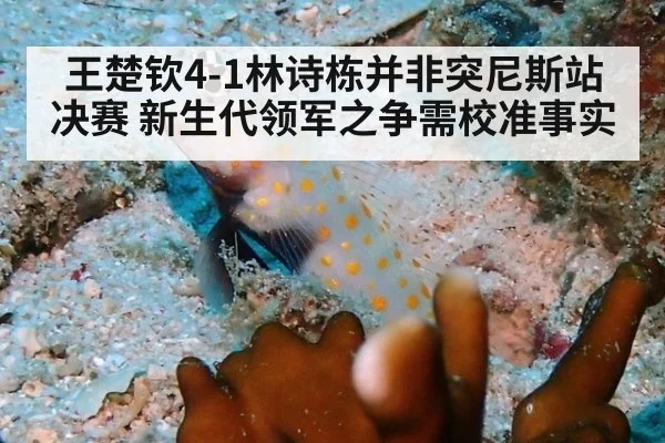 王楚钦4-1林诗栋并非突尼斯站决赛 新生代领军之争需校准事实